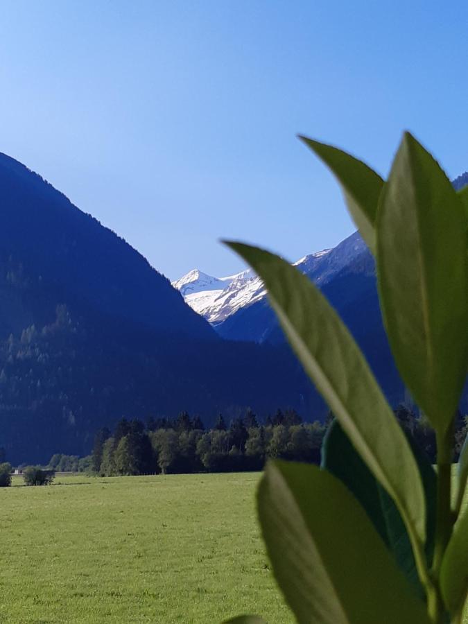 Gasthof Venedigerblick Hotel Neukirchen am Großvenediger Eksteriør billede